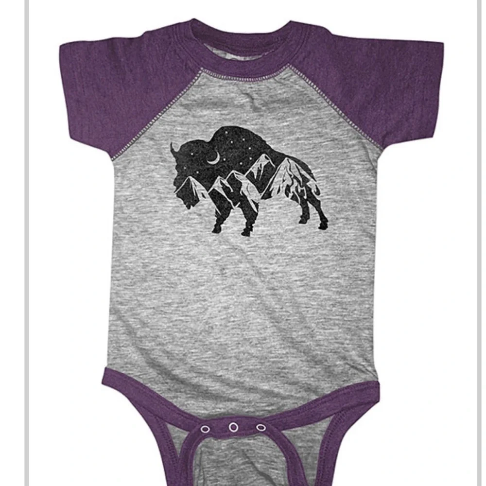 Set of 4 Boho Western Baby Onesies – Southwest Desert Animals Cactus – Size 24M
